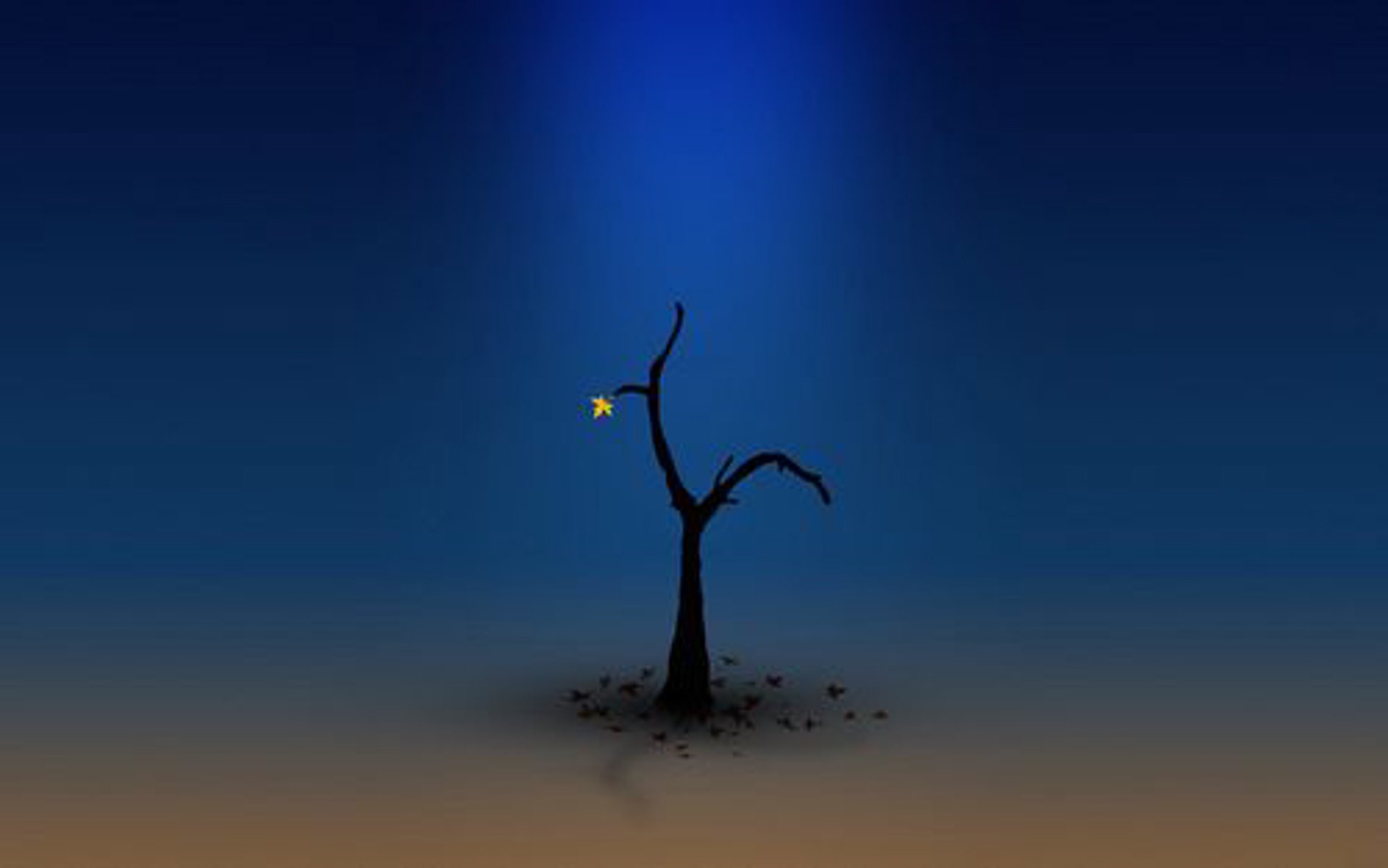 犀鸟养生网